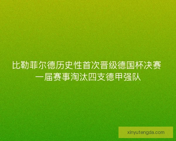 比勒菲尔德历史性首次晋级德国杯决赛 一届赛事淘汰四支德甲强队