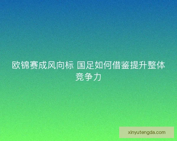 欧锦赛成风向标 国足如何借鉴提升整体竞争力